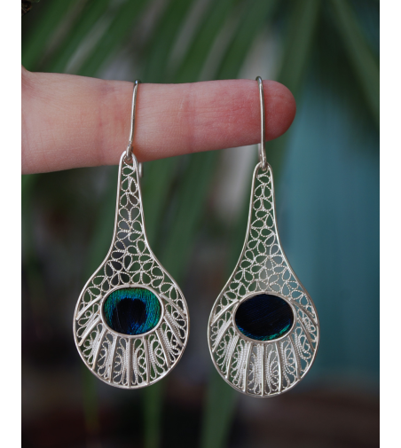 Peacock earrings: filigree earrings in sterling silver with real peacock feather