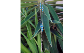 Collana lunga con cristalli Swarovski e ciondolo amuleto mezuzah in argento ossidato