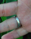 Back view of the "Flame" Ring for him which shows the width of the band of the ring from behind