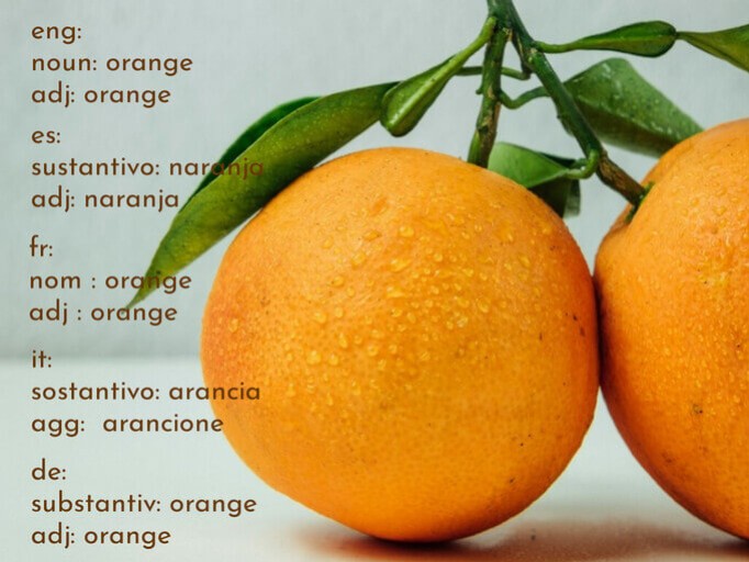 Celebrating the Color Orange